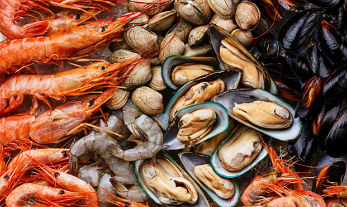 Mariscos frescos